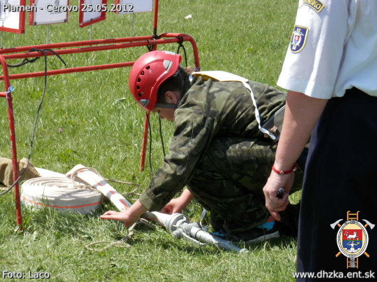 img00116.jpg