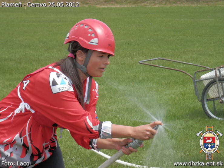 img00130.jpg