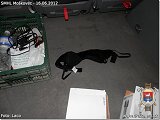 Názov: P6160732 