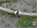 Názov: P6110041 