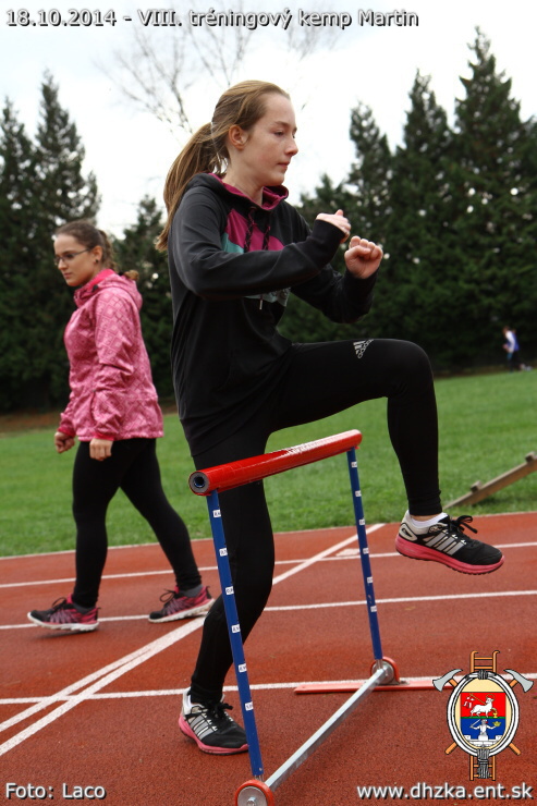 img00087.jpg