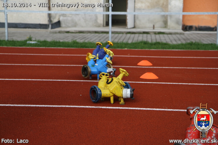 img00203.jpg