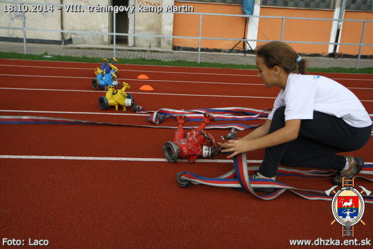 img00205.jpg