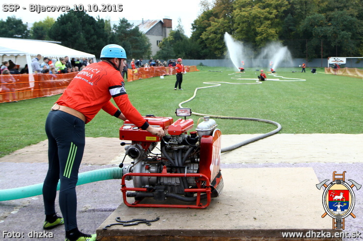 img00037.jpg