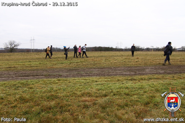 img00138.jpg