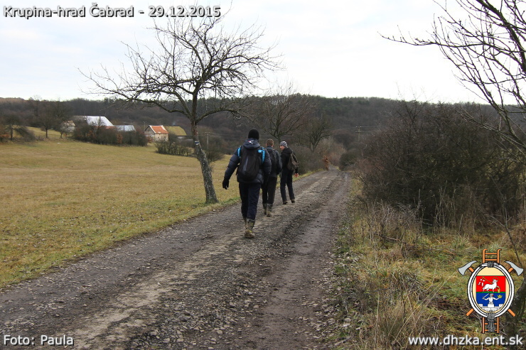 img00172.jpg