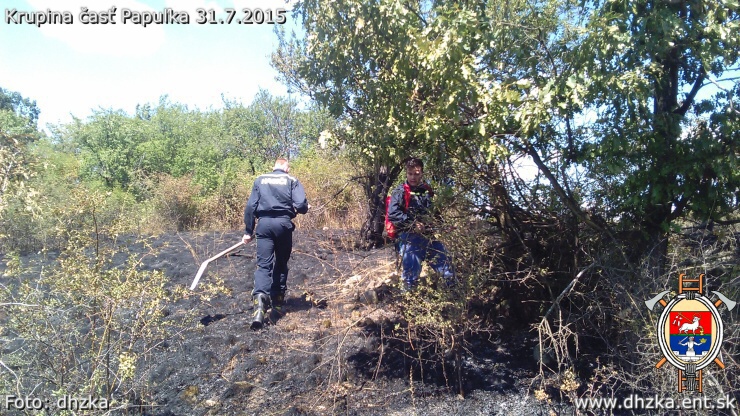 img00006.jpg