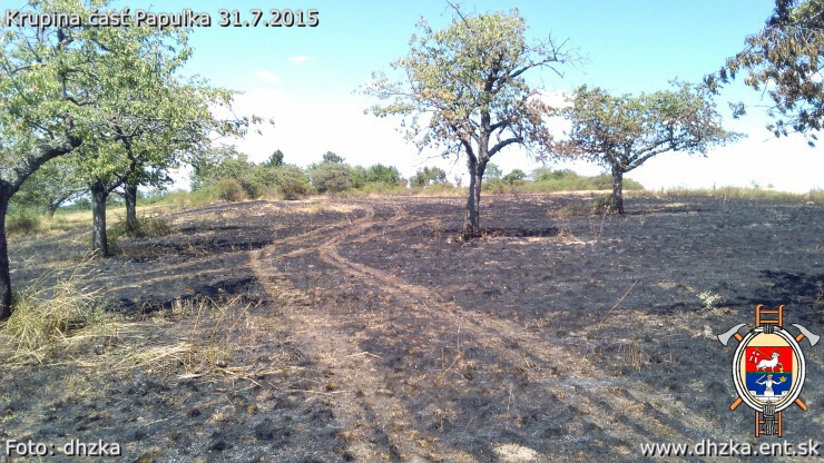 img00024.jpg