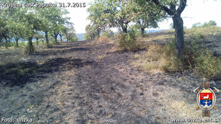 img00025.jpg