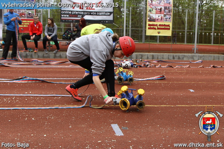 img00115.jpg