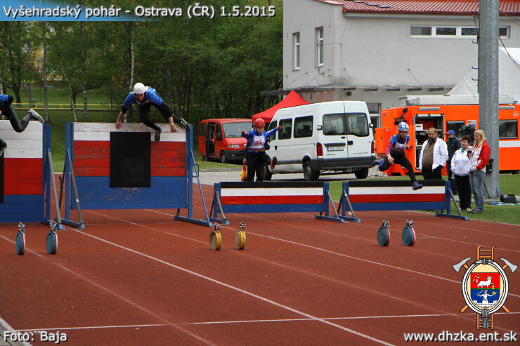 img00133.jpg