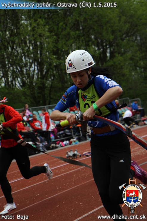 img00155.jpg
