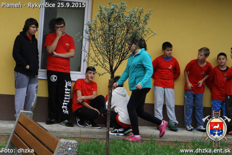 img00041.jpg