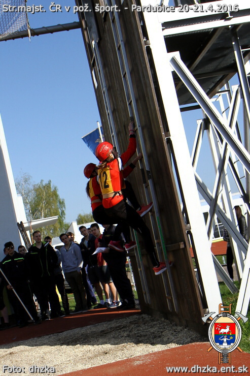 img00064.jpg