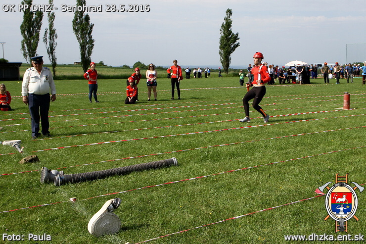 img00029.jpg