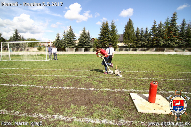 img00095.jpg