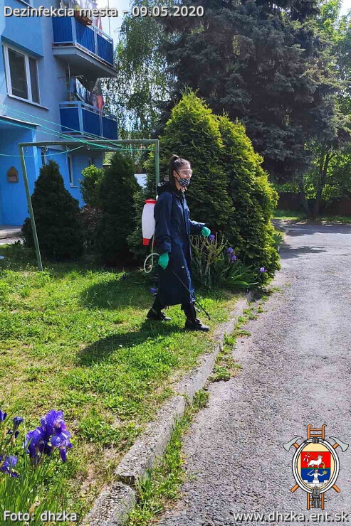 img00007.jpg