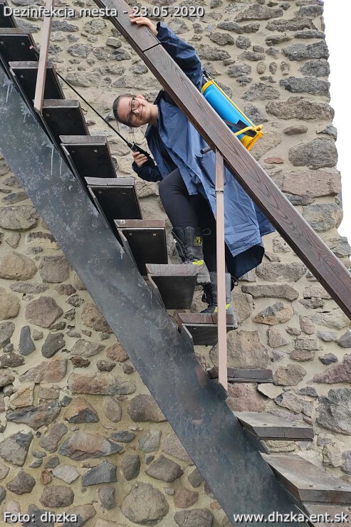 img00020.jpg