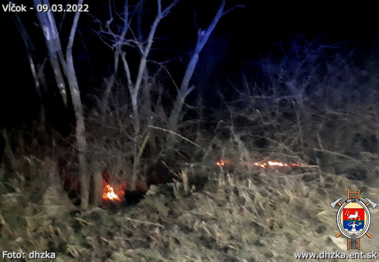 img00003.jpg